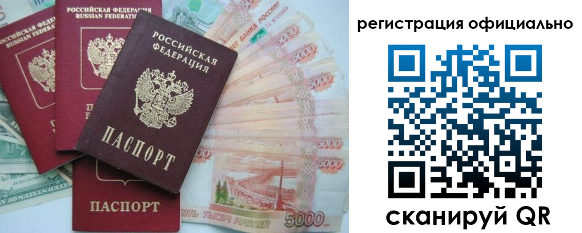 прописка для школы в Туле